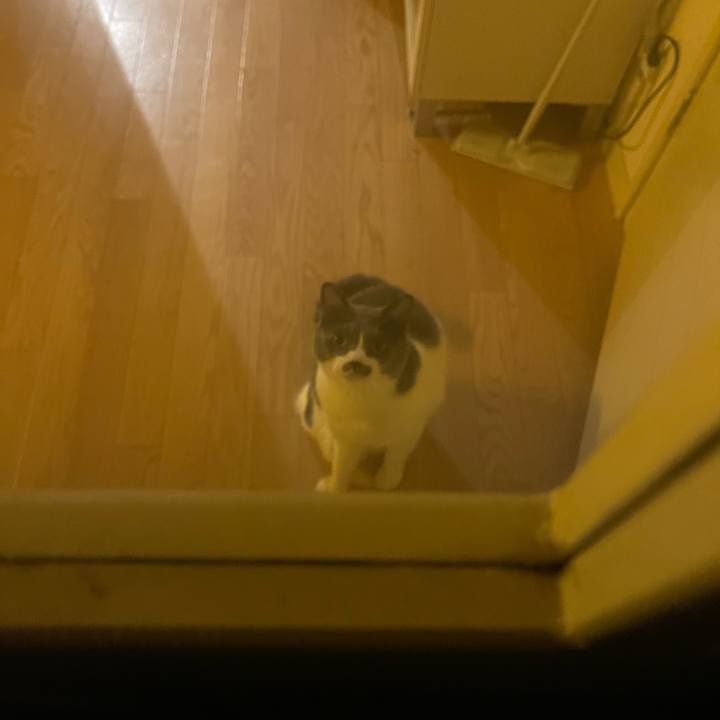 6d596c78 747c 4624 a2df e2126357bf19 1731749142623