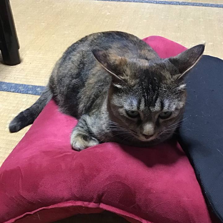 6d599f9b cca9 4cbb 945e 5b69c5ba8b3d 1657976383486