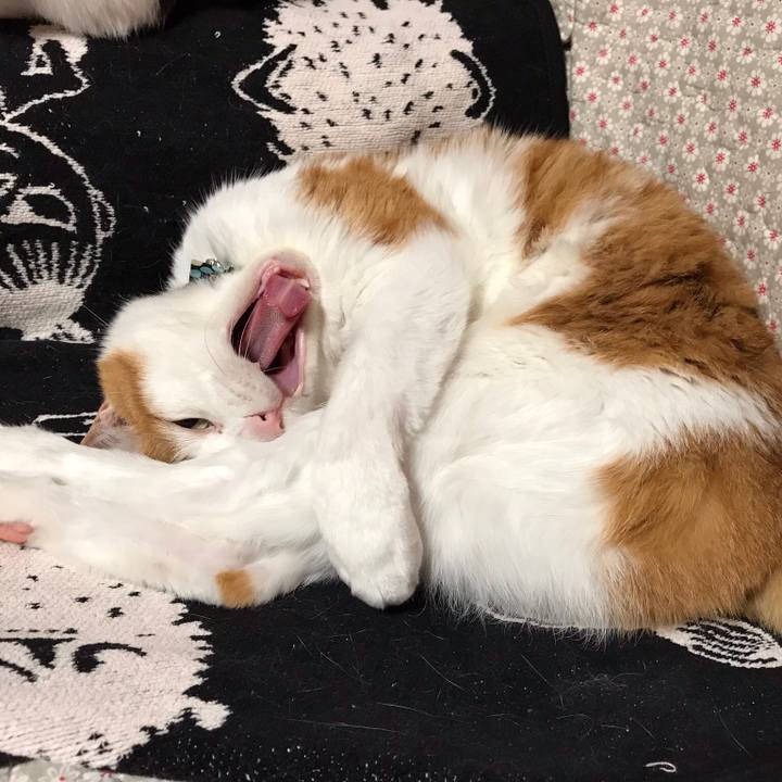 6d599fb9 624f 45ea 99cc 342dd446972a 1530111130948