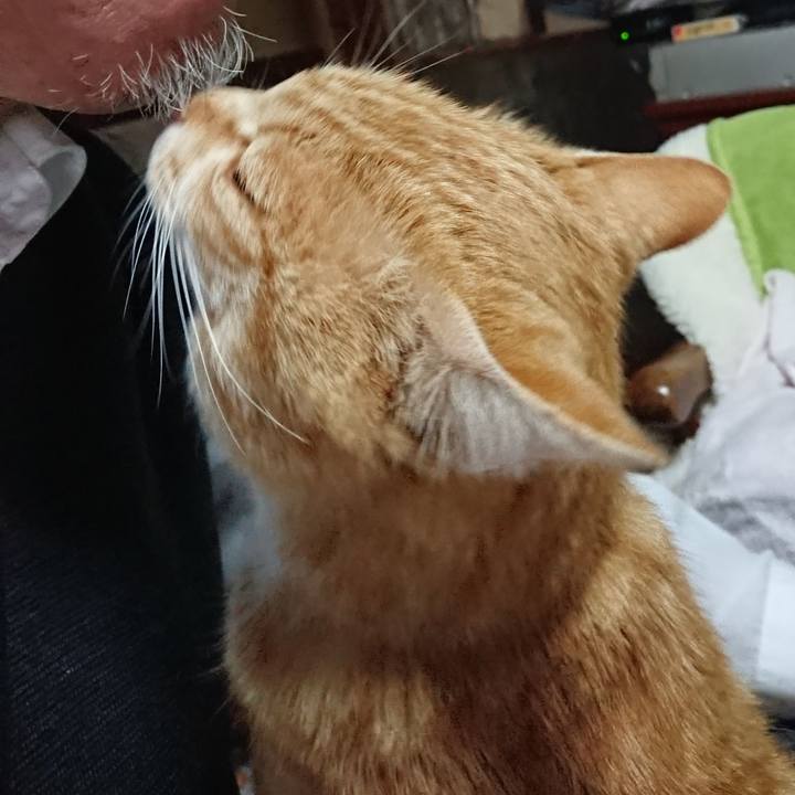 6d59a072 766a 403d aab1 c2cac6dcf242 1586858268421