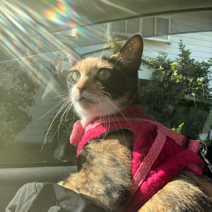 6d59aa8d a52d 4894 b669 a0a952a4622d 1604383399745