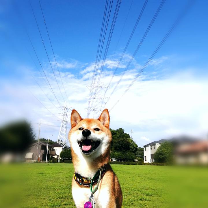 6d59ba23 56b6 4e70 a977 2ef4e20a7164 1626334907242