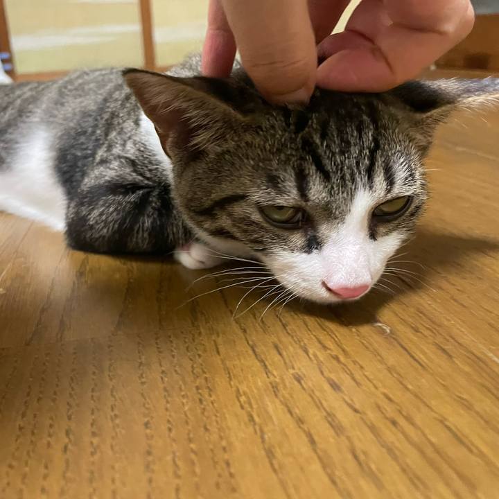 6d59cf0a b402 46e2 9d22 fccfaa0d36f2 1724877716339