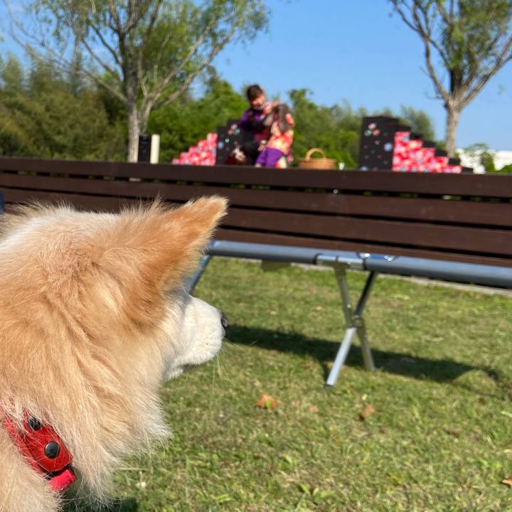 6d59e3ce 3da1 49c8 b3bf e4f9a953e302 1651565698945