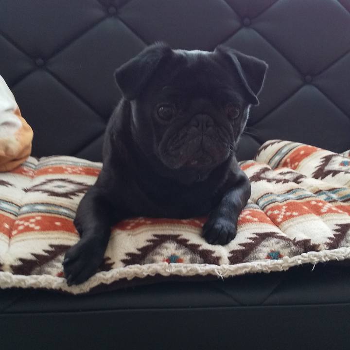 6d59ef2e 56ea 4129 8dbf dccf18285545 1590221177790