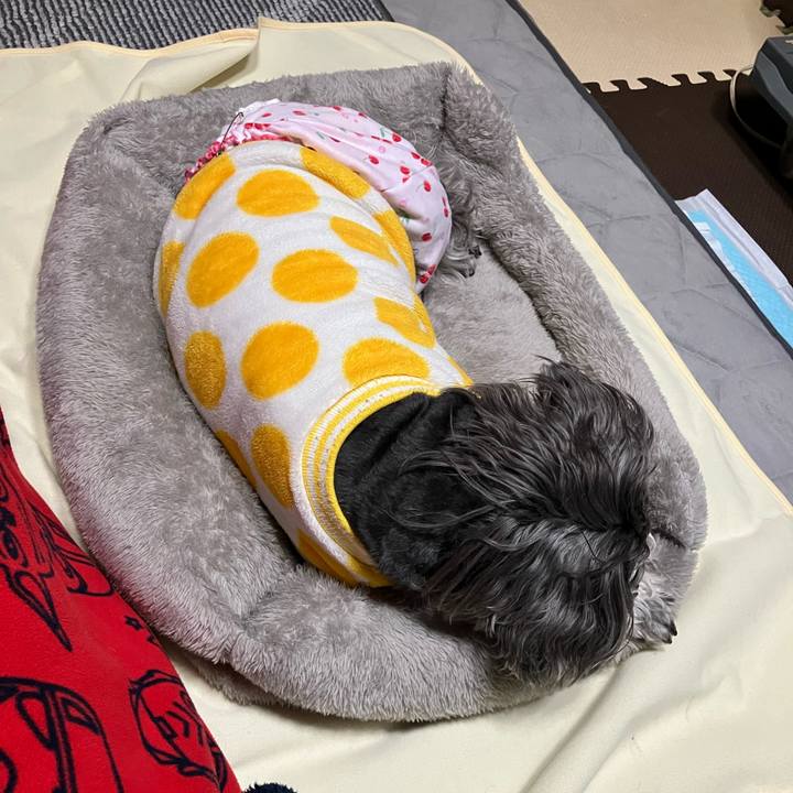 6d59f116 1f46 4e36 8ca7 85610af29040 1772709530180