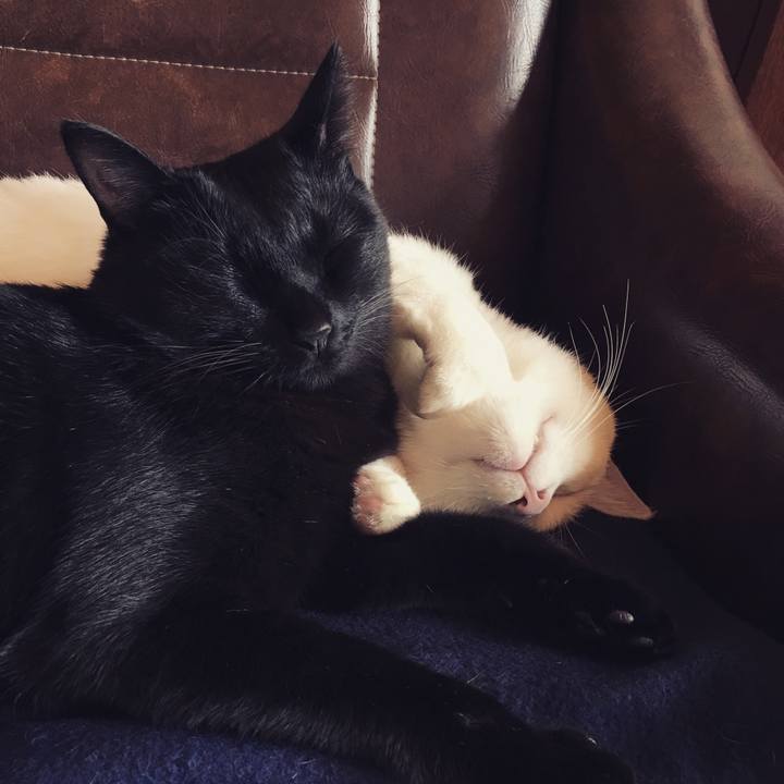 6d5a2915 bf45 4ed4 aa60 4044aaf3d1a5 1508994862558