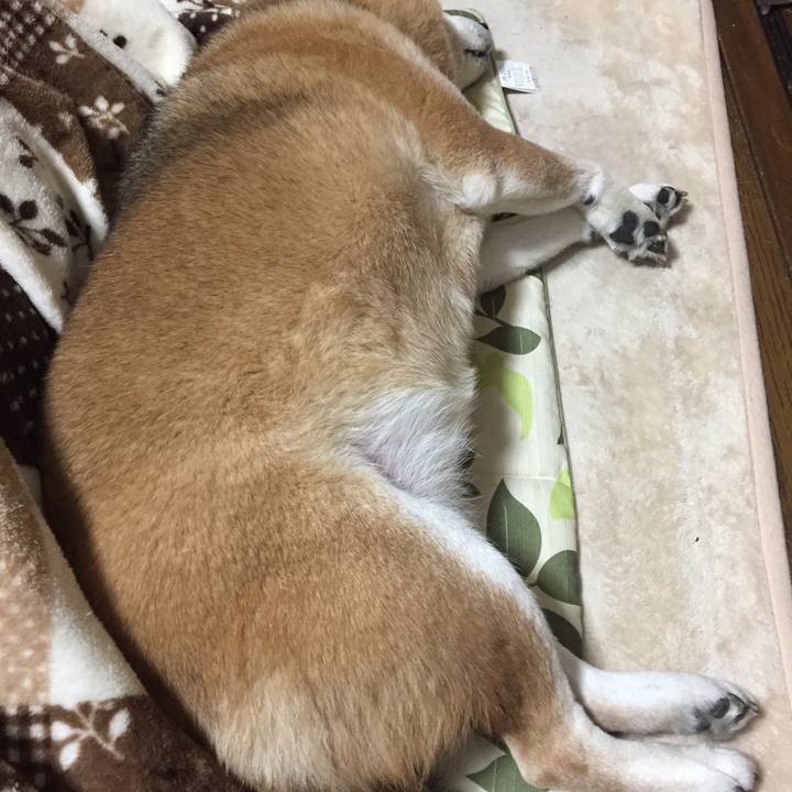 6d5a336b 2070 45f3 ae9d cef15a74636a 1514988257051