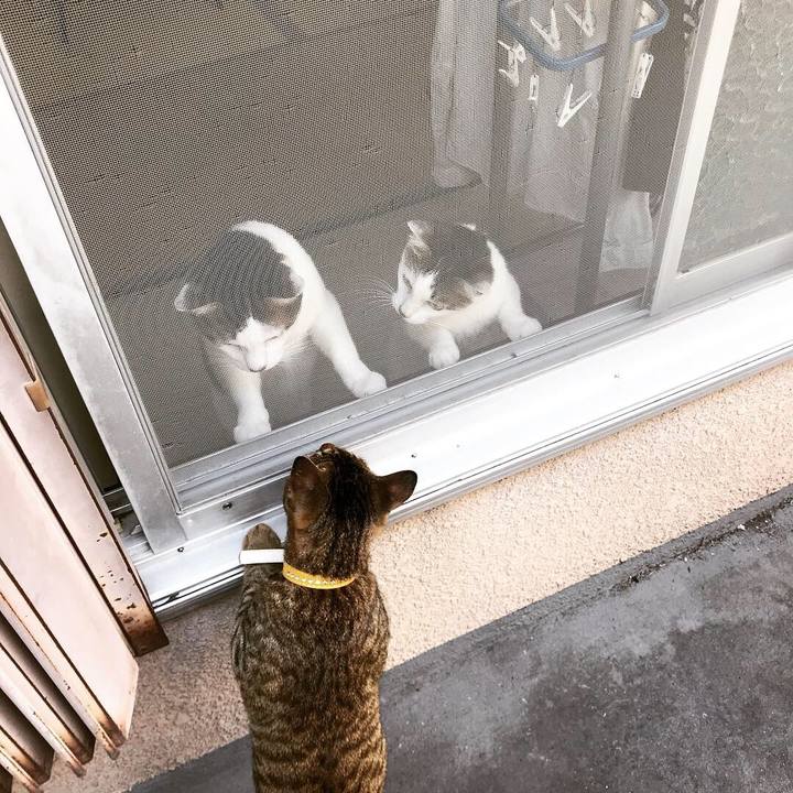 6d5a6658 448e 46dd 91f3 98d660c4a959 1542595104509