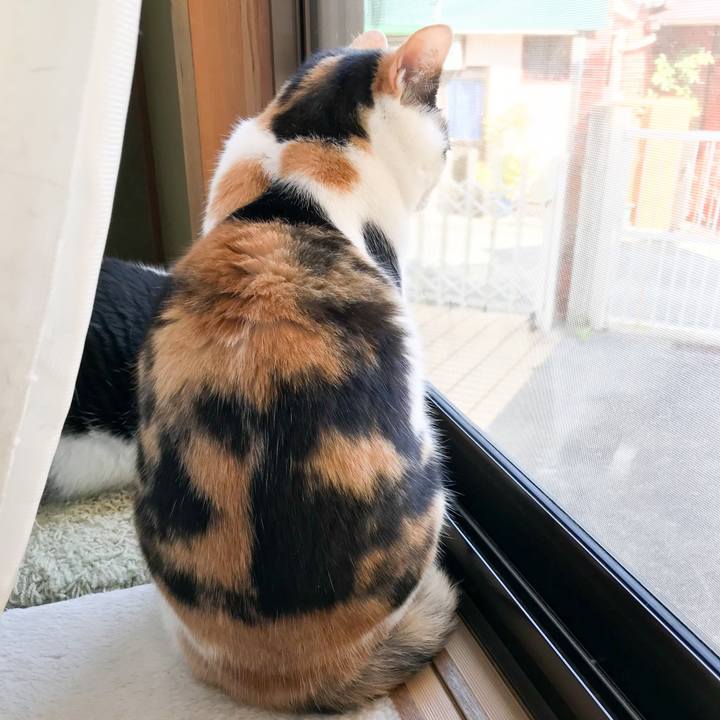 6d5aa776 faff 4d65 b64a 3f49dbc1e9e4 1522642523554