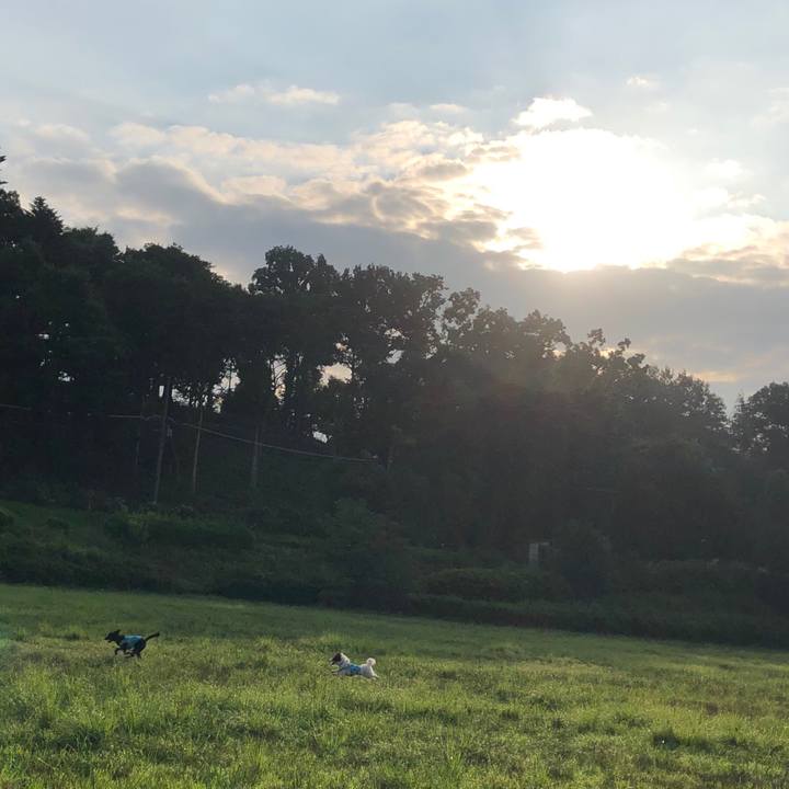 6d5ab138 a158 4dfa b9a9 4b0b09c459e0 1563919773415