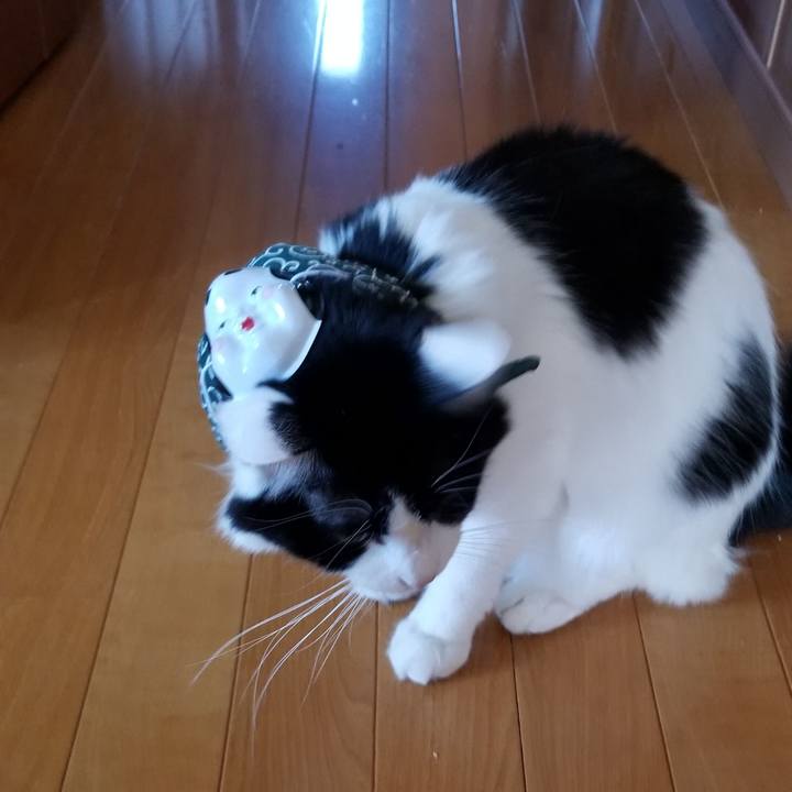 6d5aeaad 1683 4d6b 9a19 6a470b8c73a6 1549195593053