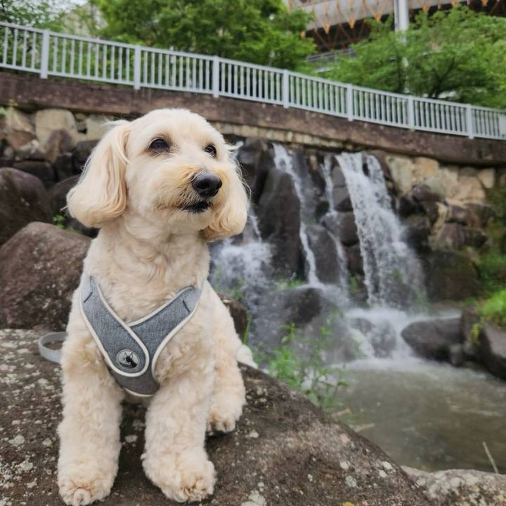 6d5b19c3 ed5c 4e06 99be 16fcd7ad80b6 1777021220620