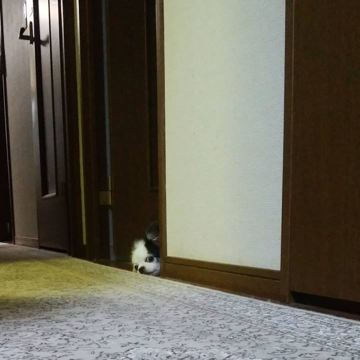 6d5b19d8 1162 4541 bc42 fefe77f99ff0 1564919802712