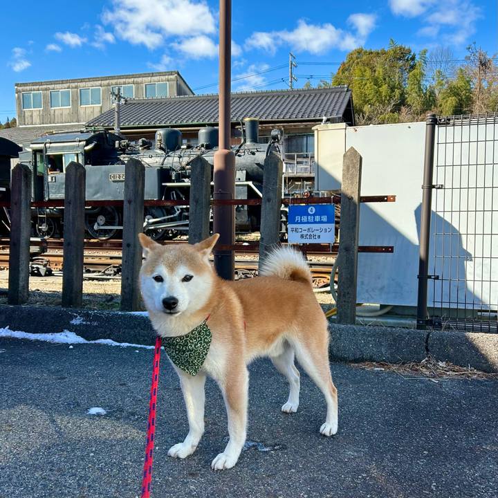 6d5b25d5 6ea4 45ce bc54 7cdd2eb185ac 1706345395193