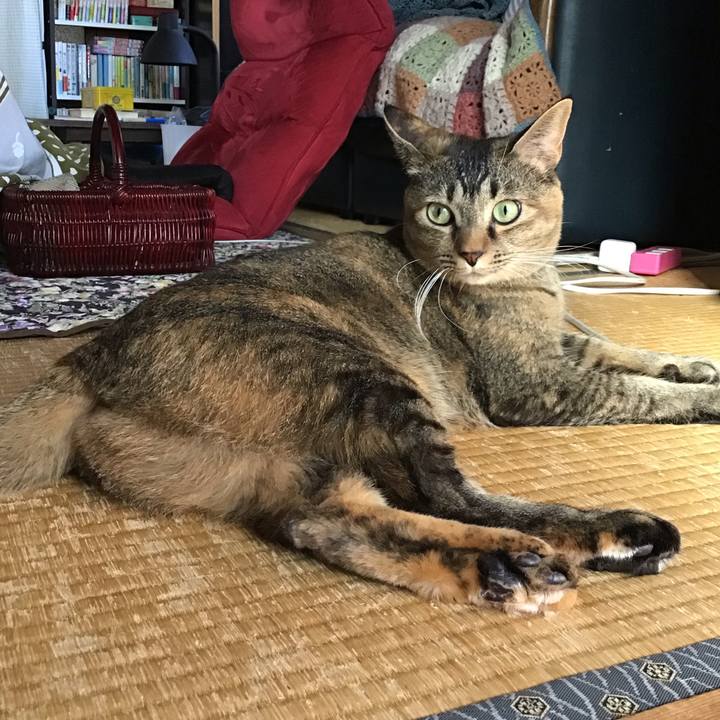 6d5b3073 43d0 48a0 83c9 9983ae417544 1634725312736