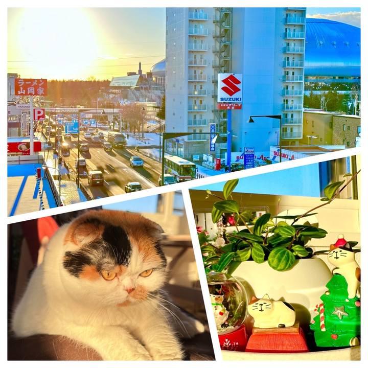 6d5b7591 a233 43d9 a9a1 91e4944da118 1670279935516