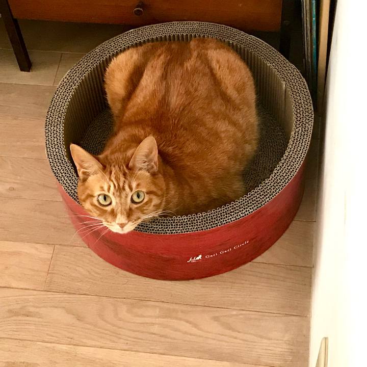 6d5b8611 64a6 4c02 aaed f255b3f47356 1519179945145