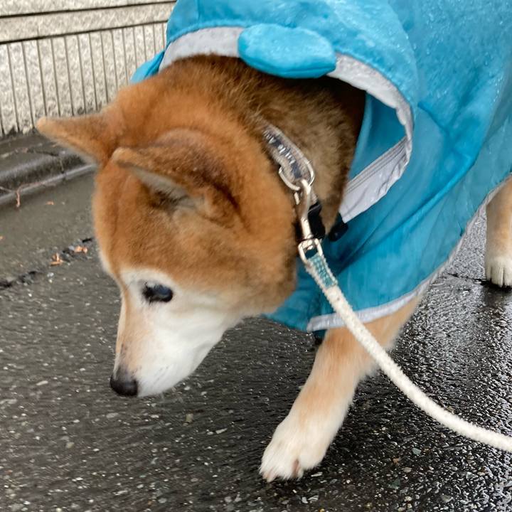 6d5ba91e a444 4d4e 9144 2321e22b74f0 1743231411182