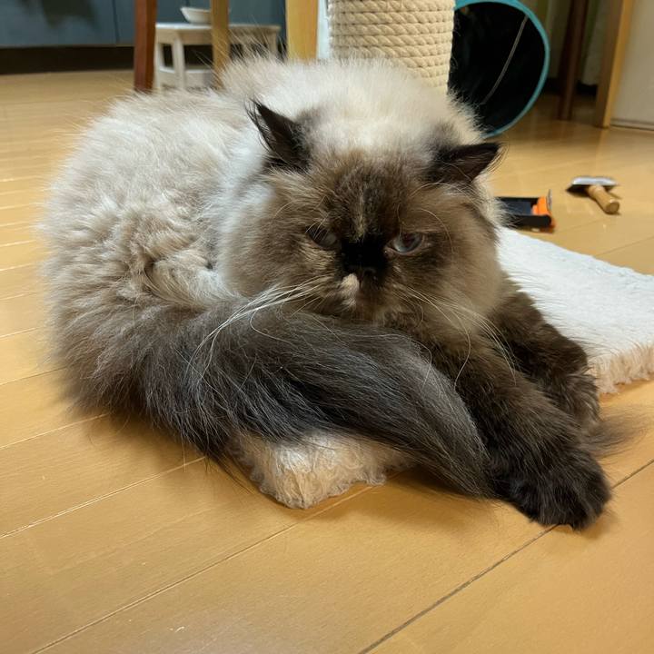 6d5bcac6 0791 46d3 9ba2 4aaa13719c67 1663244478904