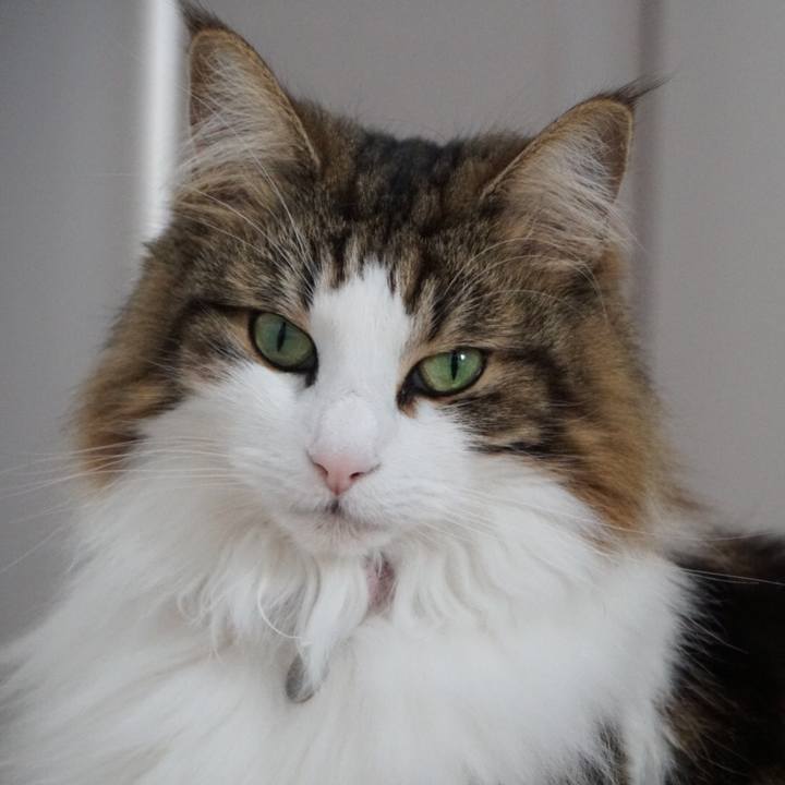 6d5bd1c7 0fad 4a74 8cfc 21b21bca62a0 1551430077884