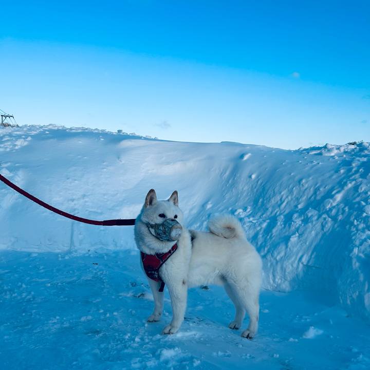 6d5bf0b3 9b85 4b81 8f3d 728113a790ac 1709077195187