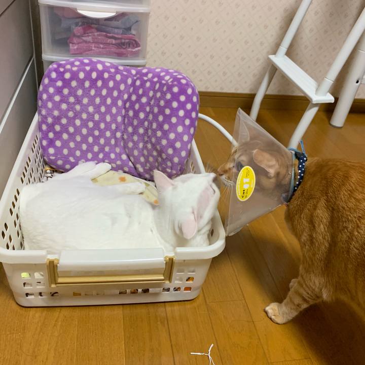 6d5bf148 eb22 4e39 b008 894ff4a6705c 1569356423431