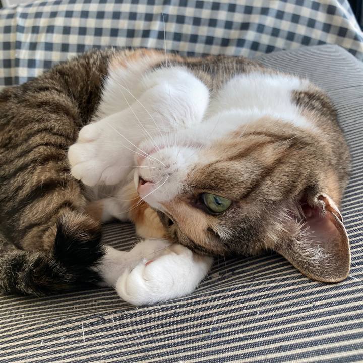 6d5bf257 ac55 45fe 81d2 875db9dc973d 1764025698539