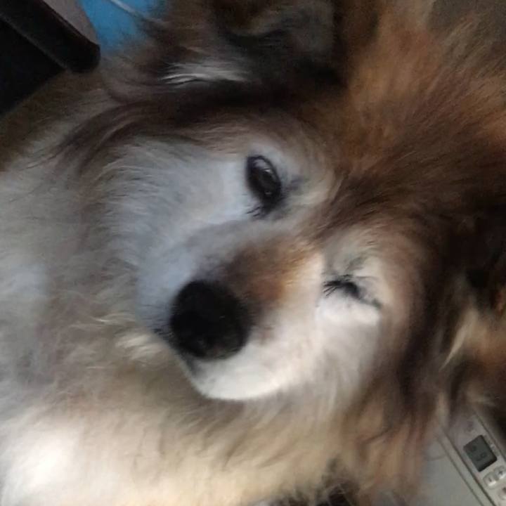 6d5c0253 7f82 4732 88ef 7900bdfe4cbd 1587547058687