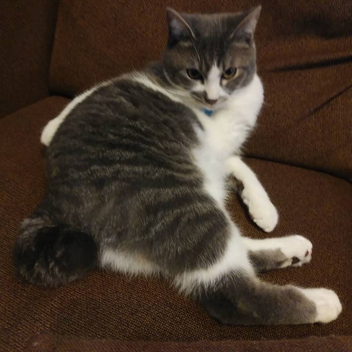 6d5c073a 39dc 4a97 85b9 4fdb1aeb439b 1580100432373