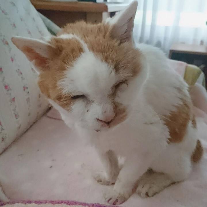 6d5c10bb 86e0 4f5f a28a e0a70ab8de86 1655716434735