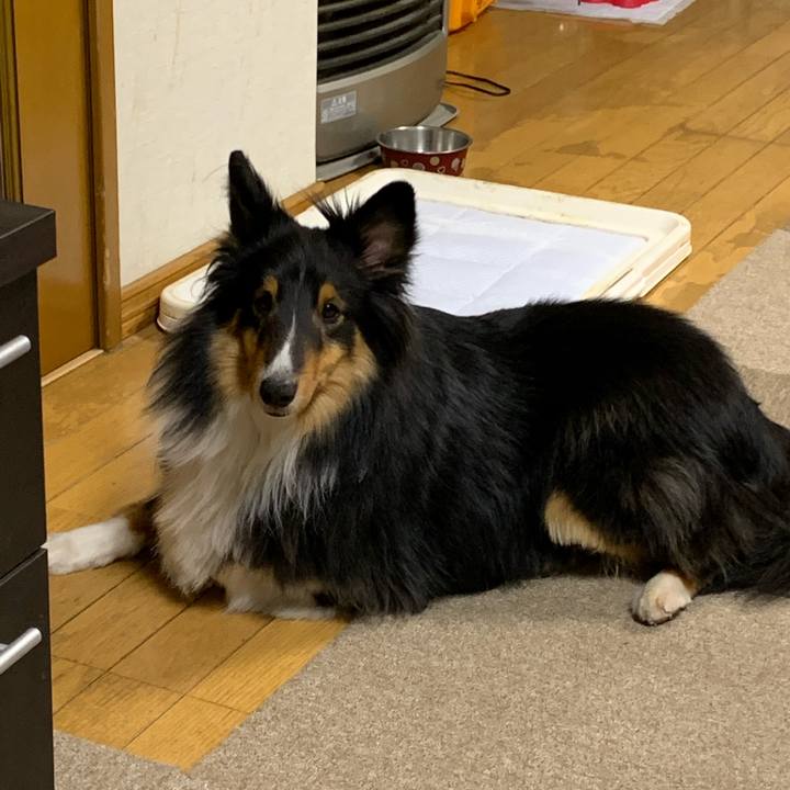 6d5c28e3 f10c 494b a3cd 4f8c0feaf485 1584308769179