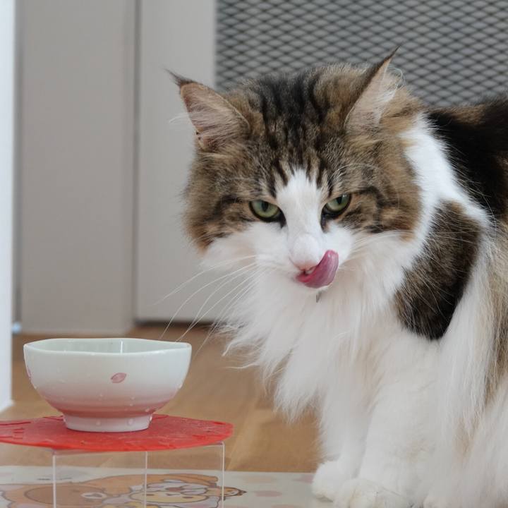 6d5ccc6f 97f5 4976 9bf2 b21c7ba0bab8 1567743127168