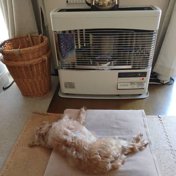 6d5cd921 0b25 4787 b9d7 f98fd5aadd53 1585091148091