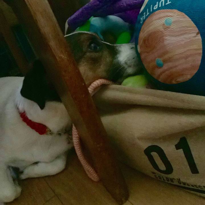 6d5ce0bd 21f5 4053 b6ac a72d9b9a2546 1565146955019