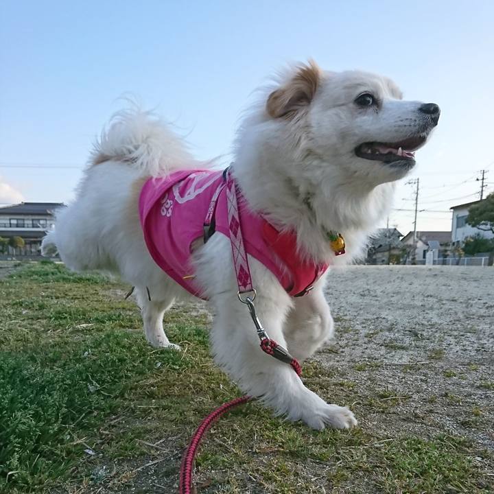 6d5cf5f2 9e4f 445d 9cfd fff3f6183bd2 1522877172347