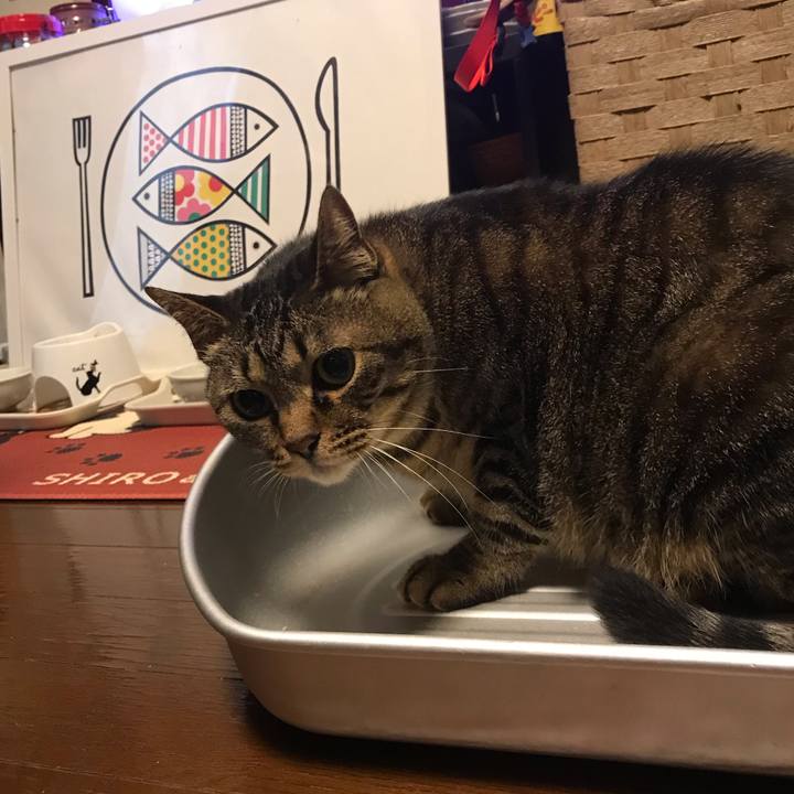 6d5d2c49 f3da 4ba4 8ae8 e847d2f013e4 1558802654383