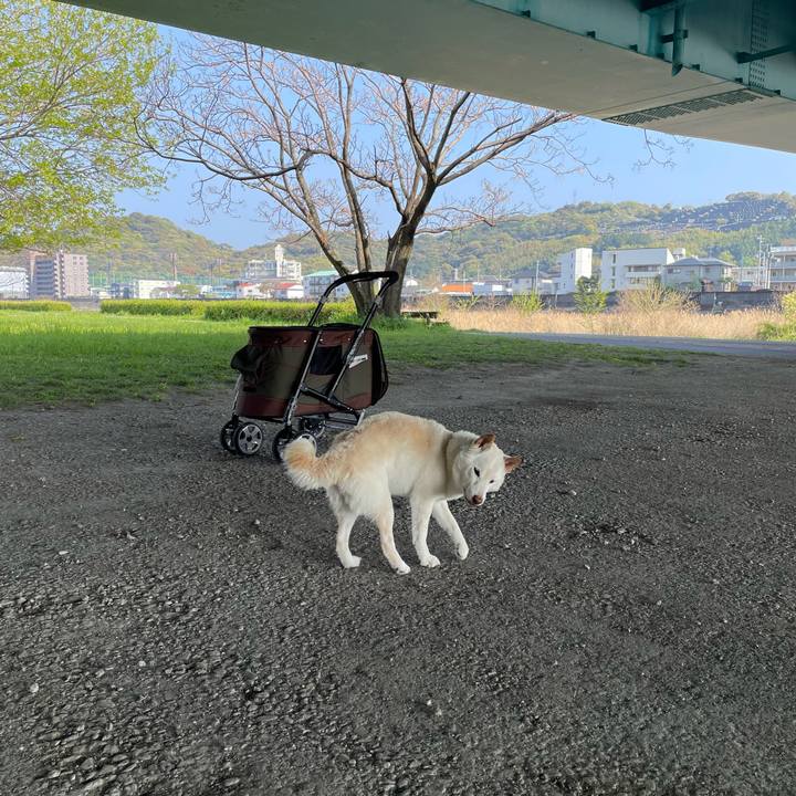 6d5db223 e417 46f0 bee9 8e6a0af0d4f5 1649485093787