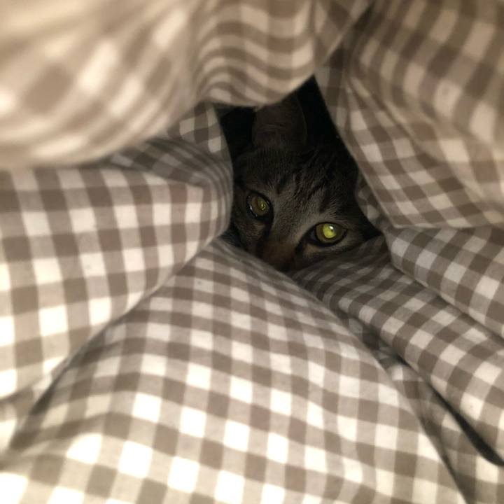 6d5e02bb 0de3 43b6 9d59 5075d9e12872 1554665227639