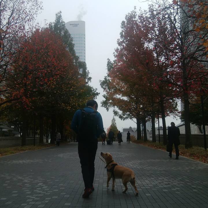 6d5e0510 6a87 4753 822e c5b095d8e2d1 1511159153309