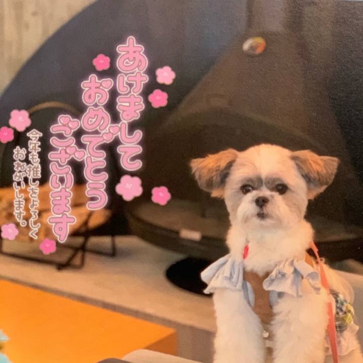 6d5e3e2f bb77 475c b53b d74c25bb73c3 1609508025820