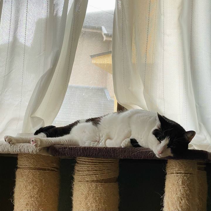 6d5e6153 cfac 47a6 9d55 7e081f21d296 1649379760267