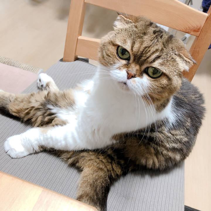 6d5e9e10 6e0e 49a5 a578 0694077642b1 1569914537071