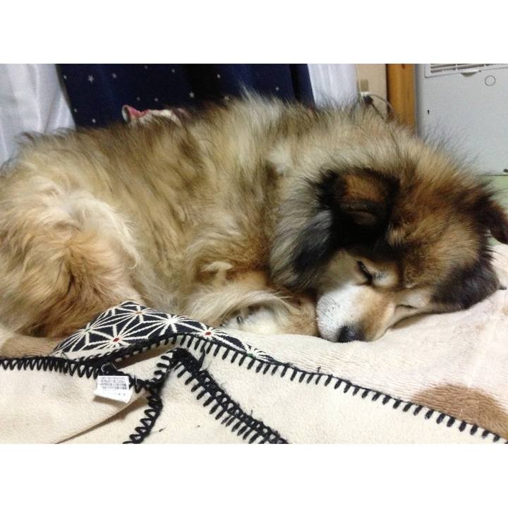 6d5eb88b 0c80 4e9c b5b5 260092e23901 1645073702071