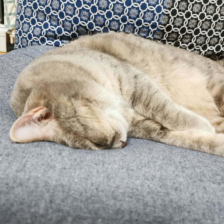 6d5ede89 d846 463c 9b71 7a867732476f 1631887318616