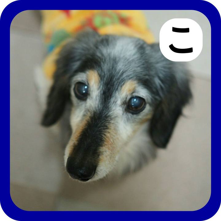 6d5ef9c8 4d52 4682 9b57 77417e368bc5 1514809484174