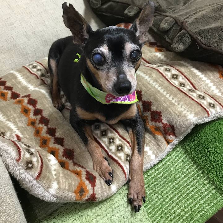 6d5f041f 983d 4568 b6b2 83ff92f017f0 1558146932859