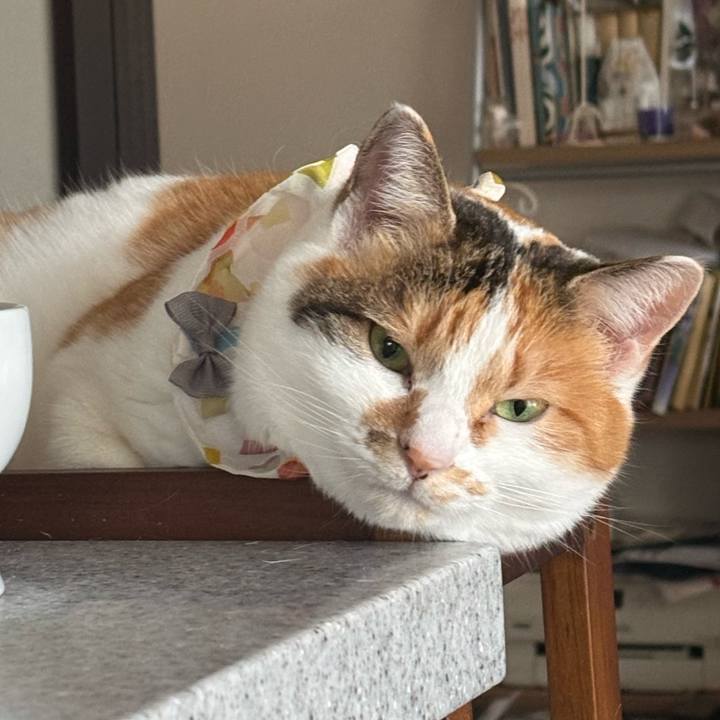 6d5f1957 0b2f 42d3 bcf3 0055c7ca1348 1771198556410