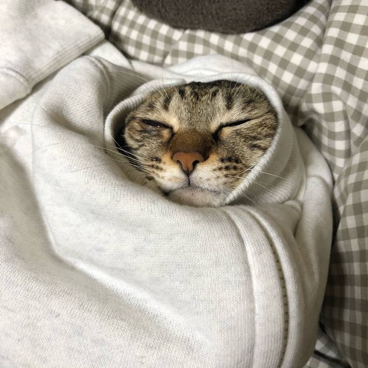 6d5f1bbd a24b 484d 8844 0852d192d0f0 1609771165251