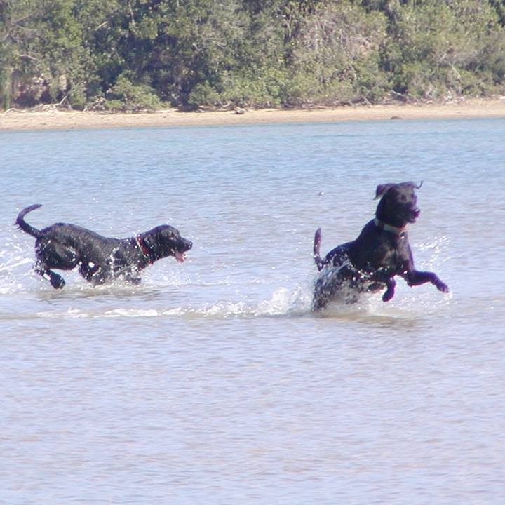 6d5f766b 8c28 4eb2 b542 6bf9cf196dcb 1559988891225